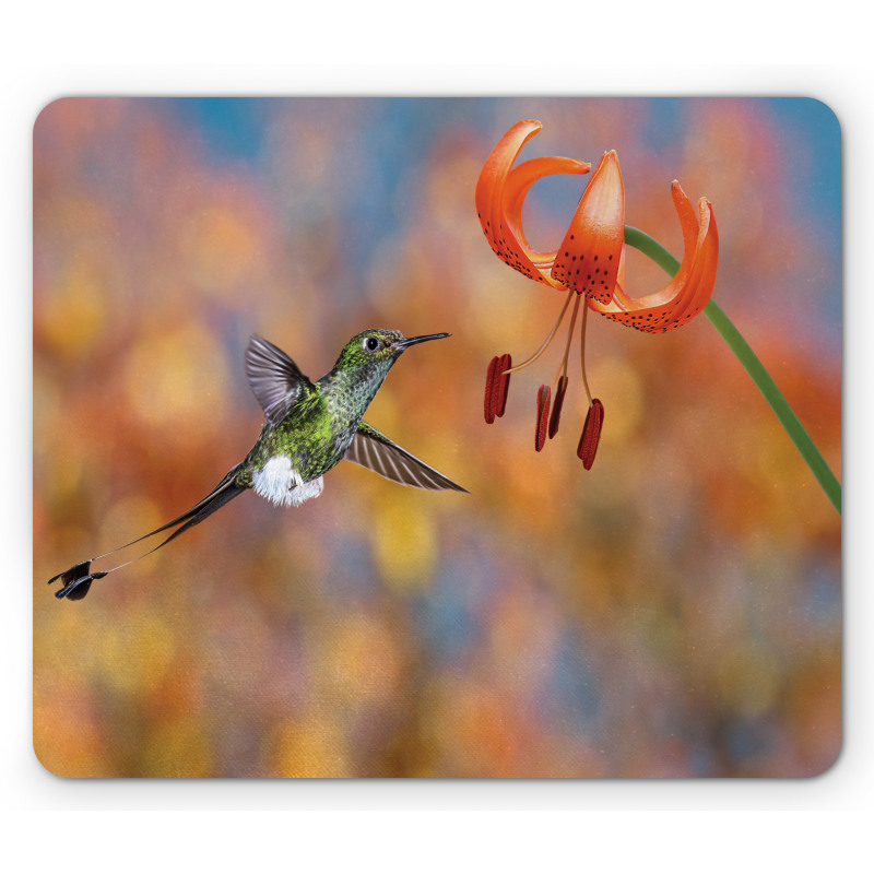 Racket Tail Lily Nectar Mouse Pad