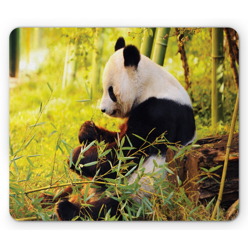 Panda Sitting in Forest Mouse Pad