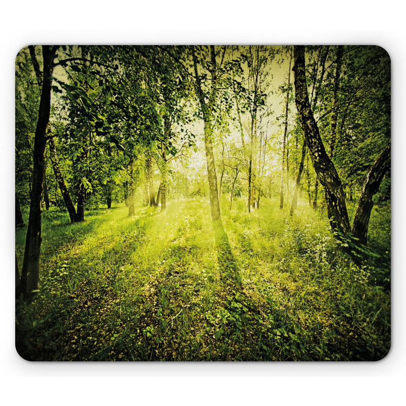 Scenic Morning in Nature Mouse Pad