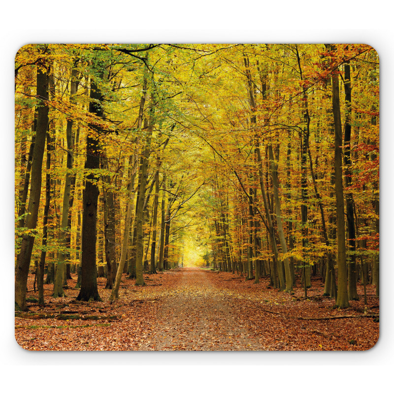 Pathway into the Forest Mouse Pad