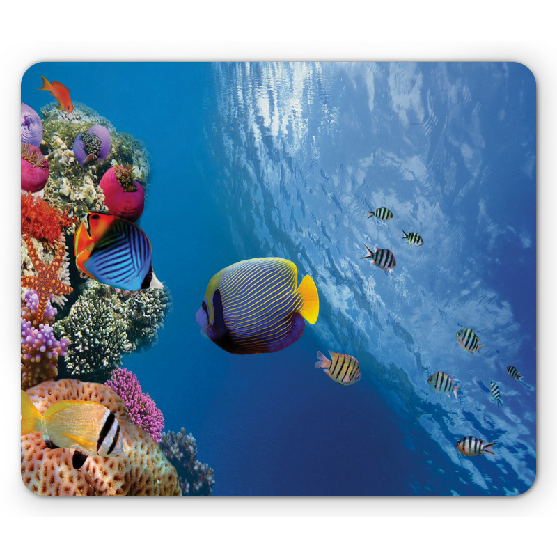 Underwater Fish Sea Mouse Pad