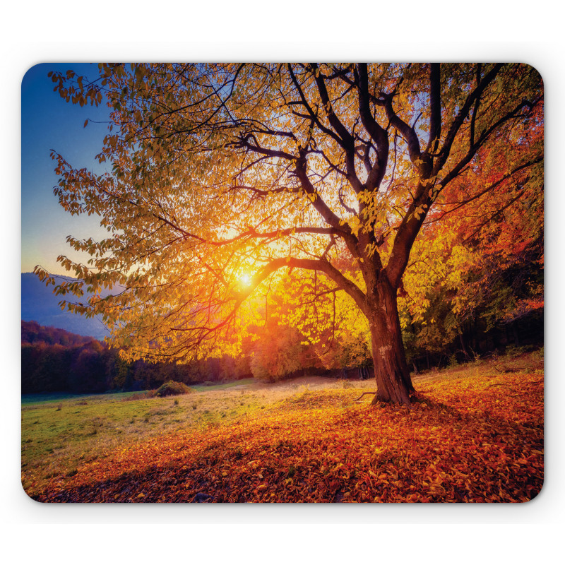 Autumn Fall Tree Leaves Mouse Pad