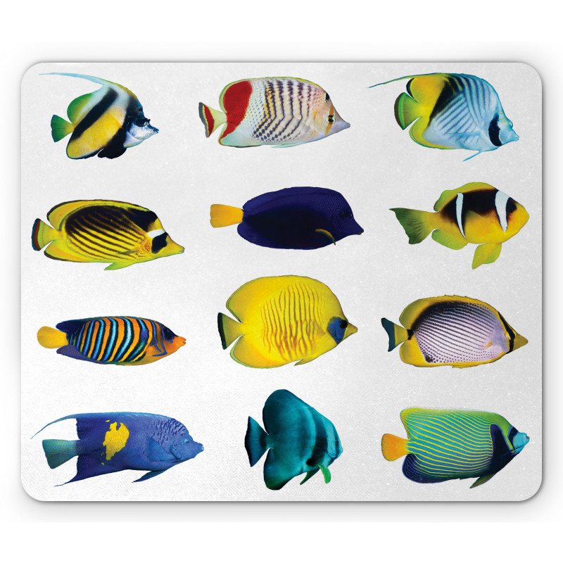 Collage of Sea Animals Mouse Pad