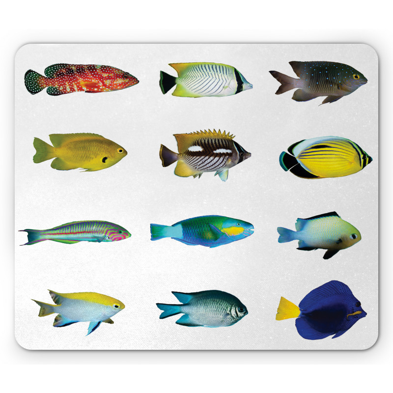 Sea Creatures Nautical Mouse Pad