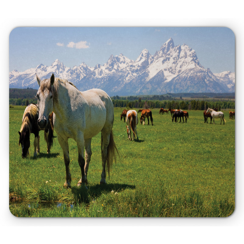 Horses Mouse Pad