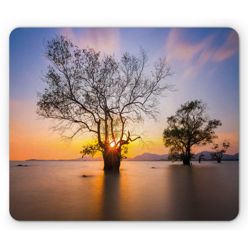 Autumn Trees View Habitat Mouse Pad