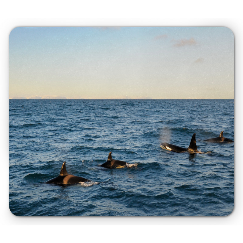 Whales in SeOcean Mouse Pad