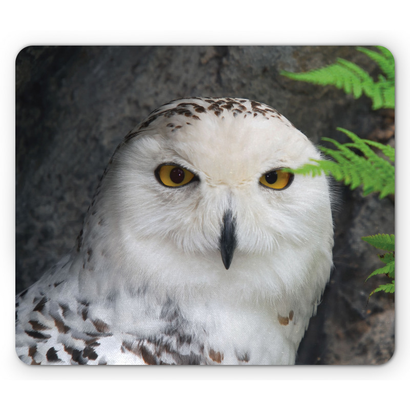 Magician Pet White Owl Mouse Pad