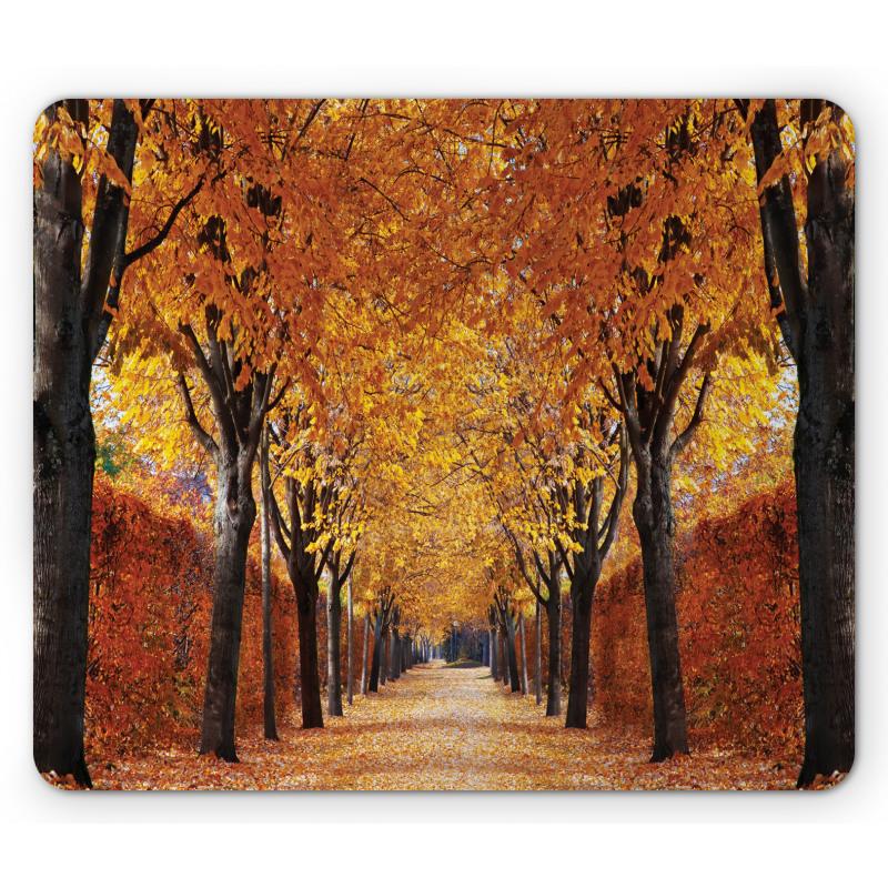 Pathway in the Woods Mouse Pad