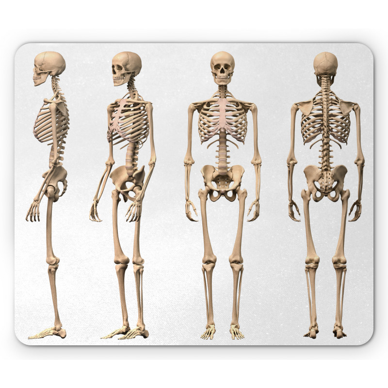 Medical Skeleton Mouse Pad