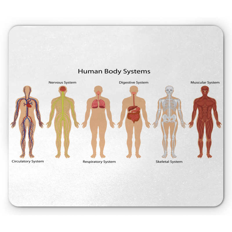 Skeleton System Mouse Pad