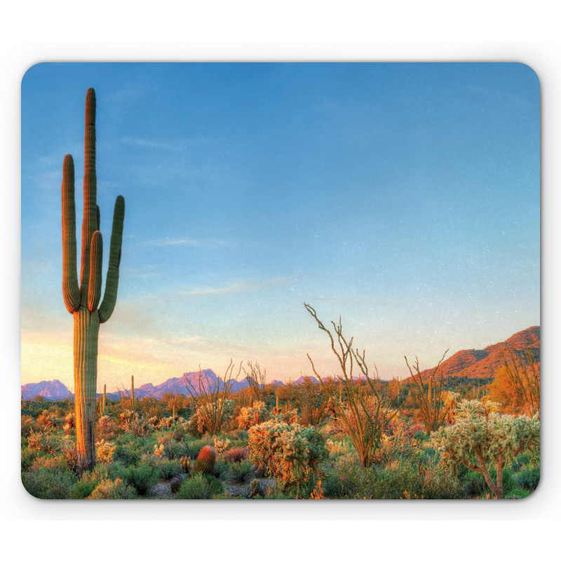 Cactus Sunset Landscape Mouse Pad