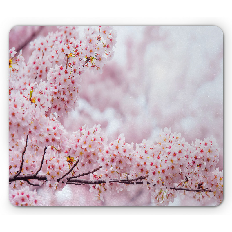 Vibrant Colored Striped Mouse Pad