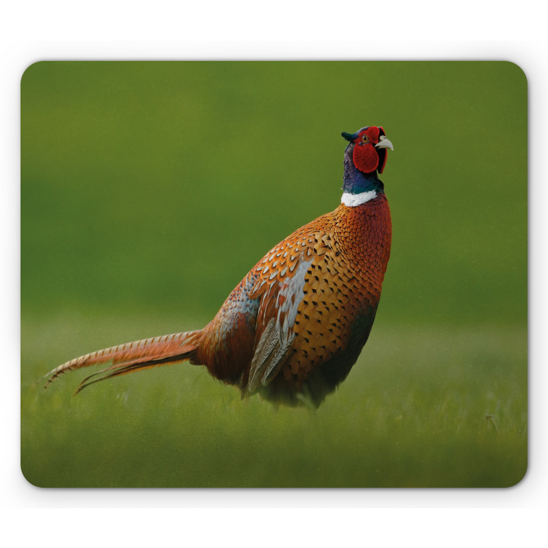 Pheasant Long Tail Meadow Mouse Pad