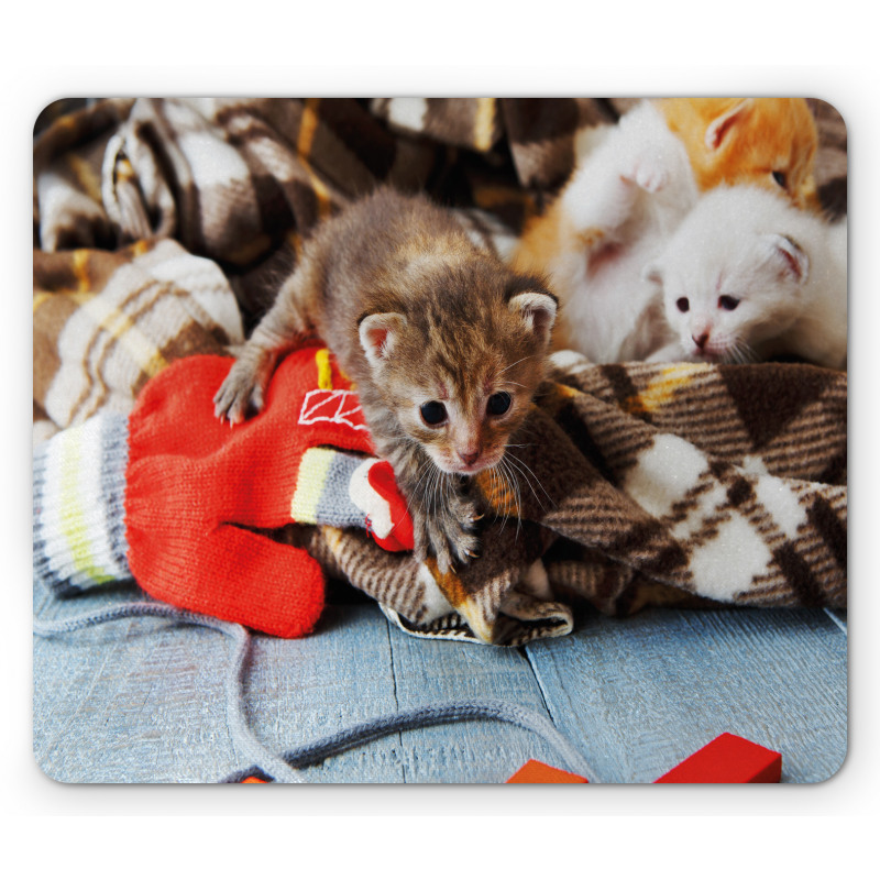 Kittens Mittens Baby Toys Mouse Pad
