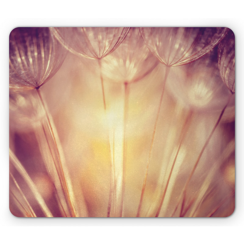 Dandelion Petals Spring Mouse Pad