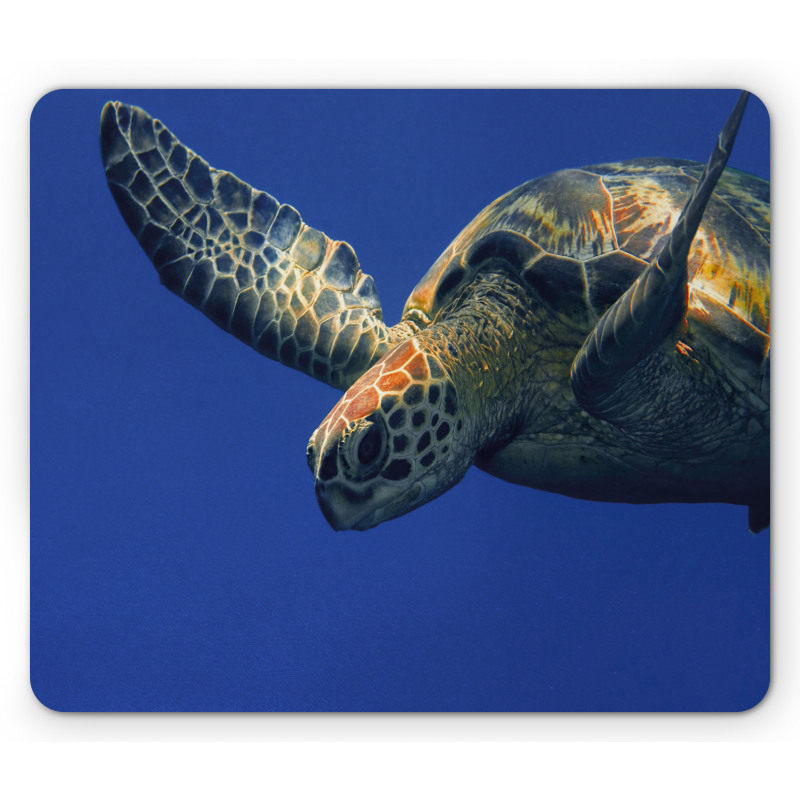 Sea Animal Swimming Mouse Pad