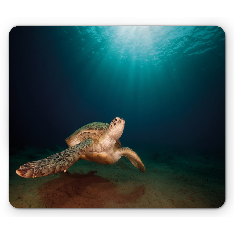 Green Turtle Sunbeam Mouse Pad