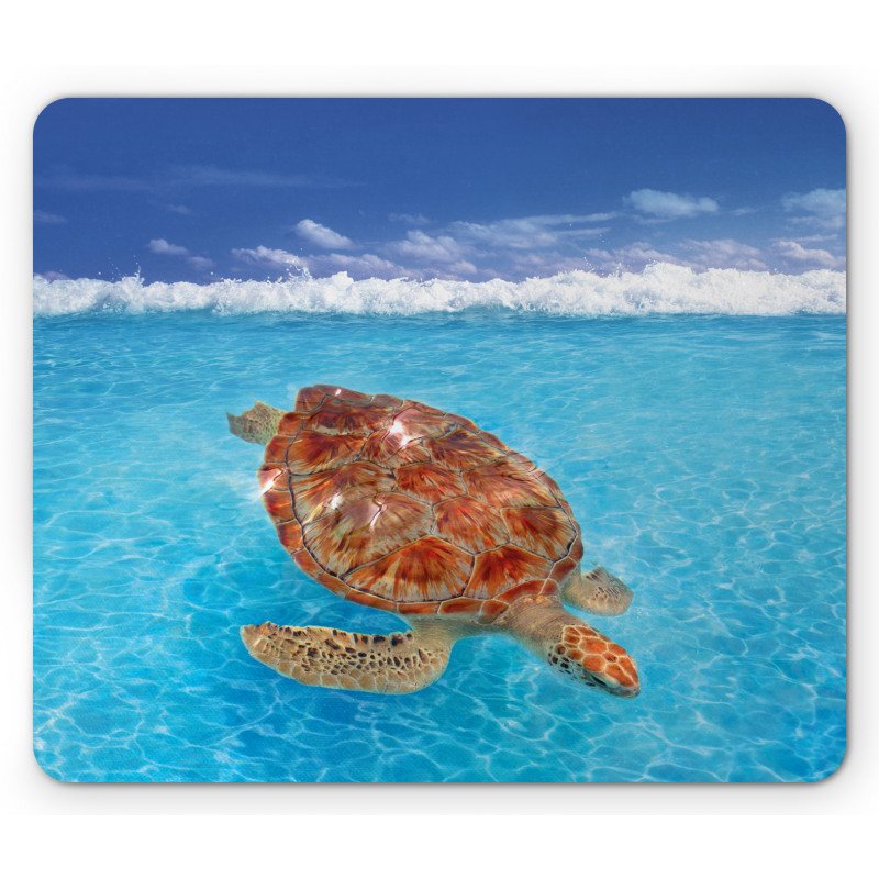 Chelonia Water Surface Mouse Pad