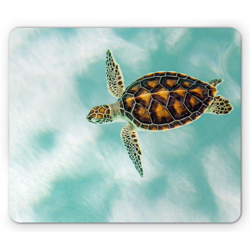 Endangered Baby Turtle Mouse Pad