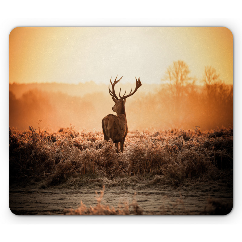 Deer Morning Sun Mouse Pad