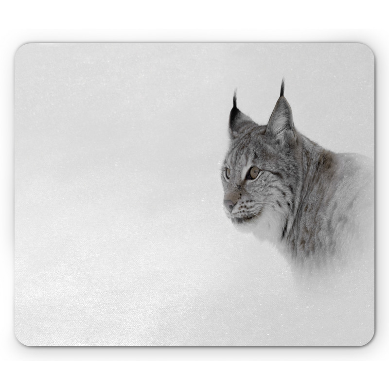 Wild Lynx Norway Mouse Pad