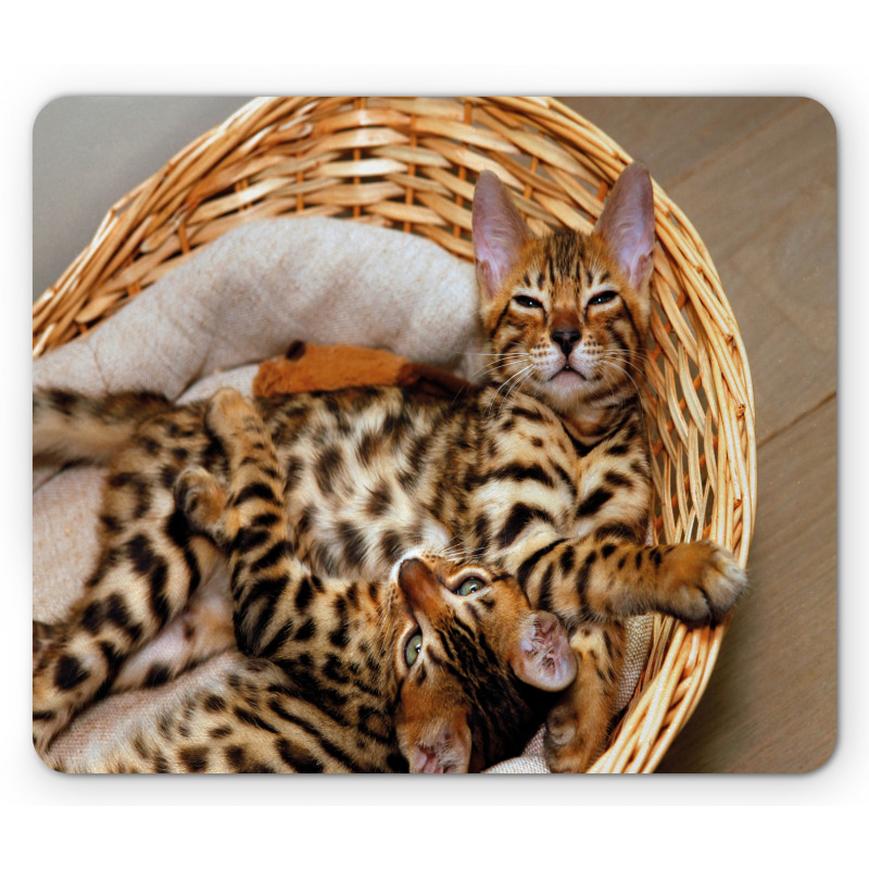 Bengal Cats in Basket Mouse Pad