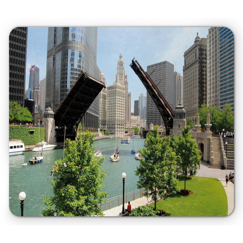 Downtown Chicago Mouse Pad