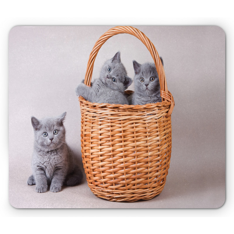 British Cats in Basket Mouse Pad