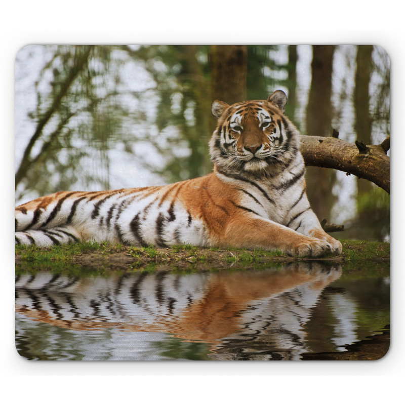 Siberian Mammal Warm Day Mouse Pad