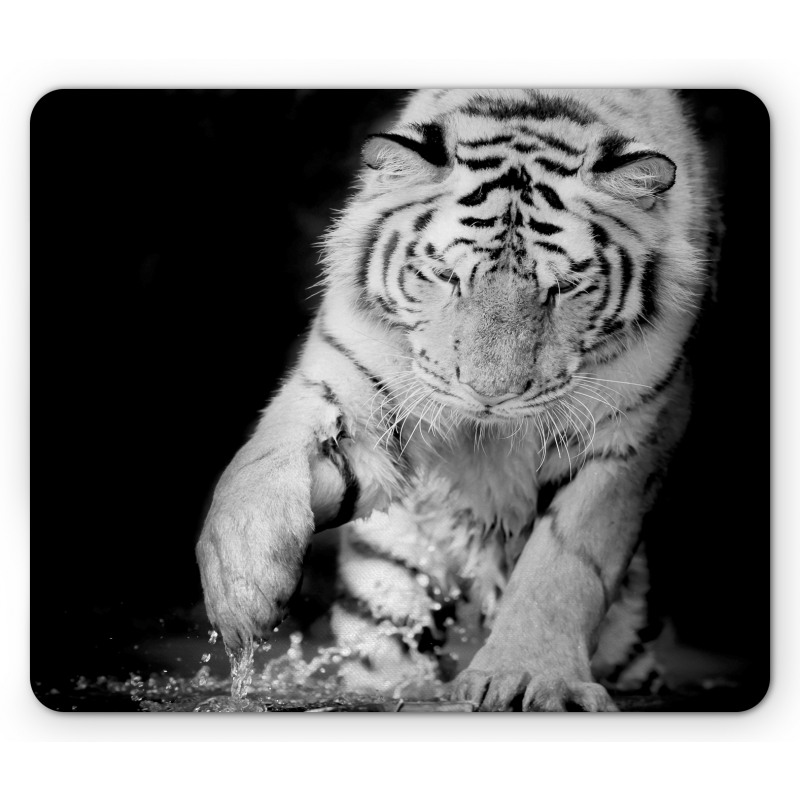 Large Cat Plays in Water Mouse Pad