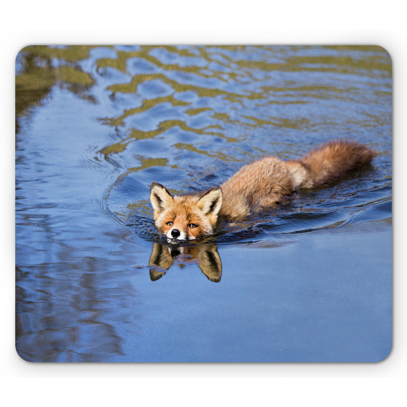 Fox Swimming in River Mouse Pad