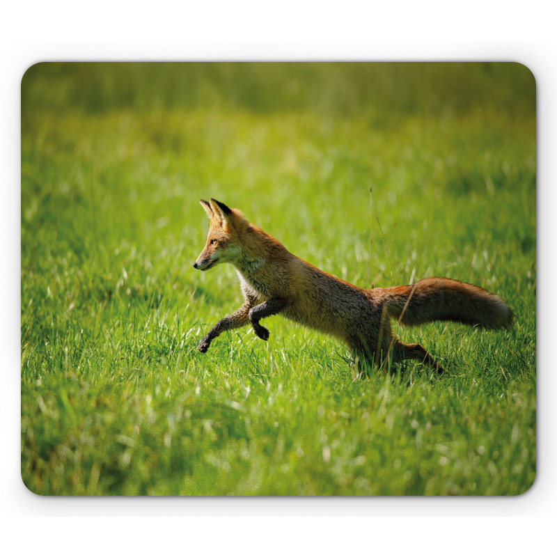 Jumping Animal Fresh Grass Mouse Pad