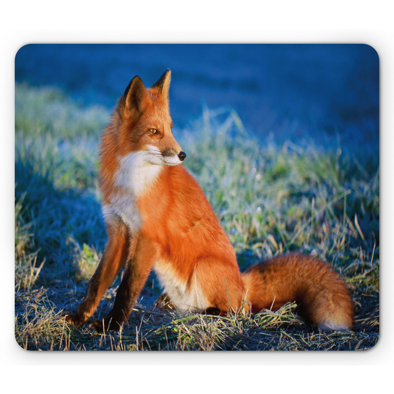 Serene Cold Autumn Field Mouse Pad