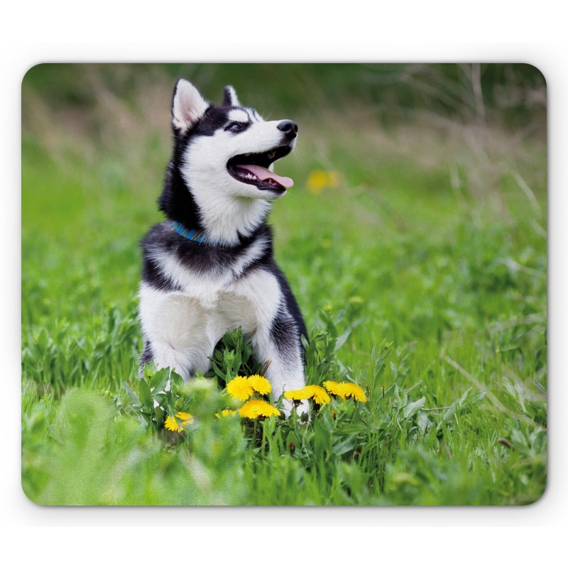 Puppy on Grass Mouse Pad