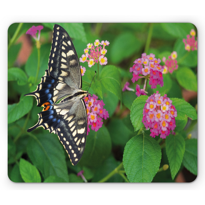 Eco Nature Mouse Pad