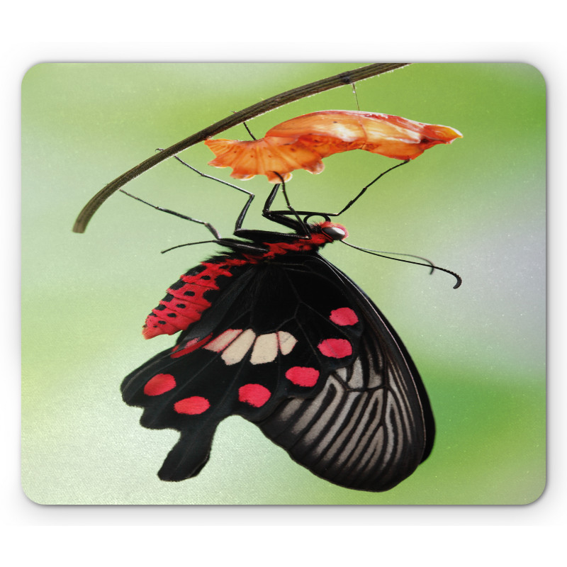 Open Cocoon Mouse Pad