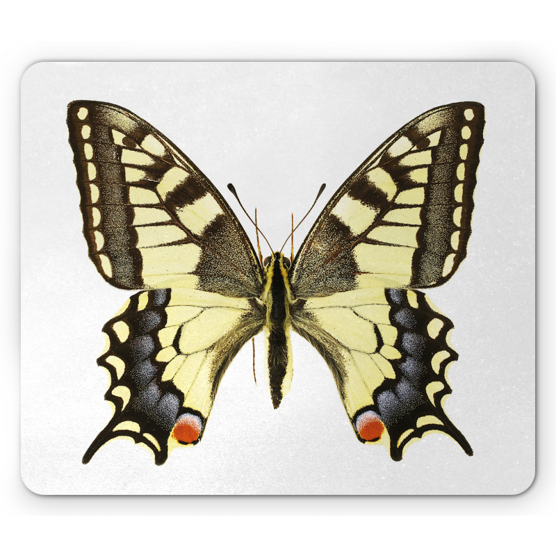 Old Papilio Mouse Pad