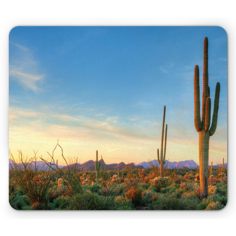 Sonoran Desert Sunset Mouse Pad