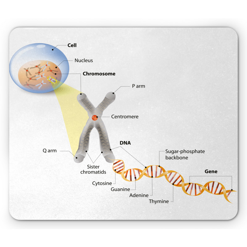 DNA Gene Genome Mouse Pad
