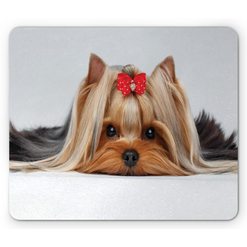 Lying Dog Ribbon Love Mouse Pad