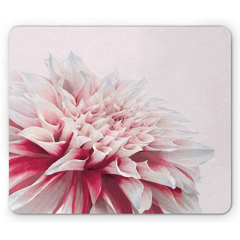 Close up Floral Blossom Mouse Pad