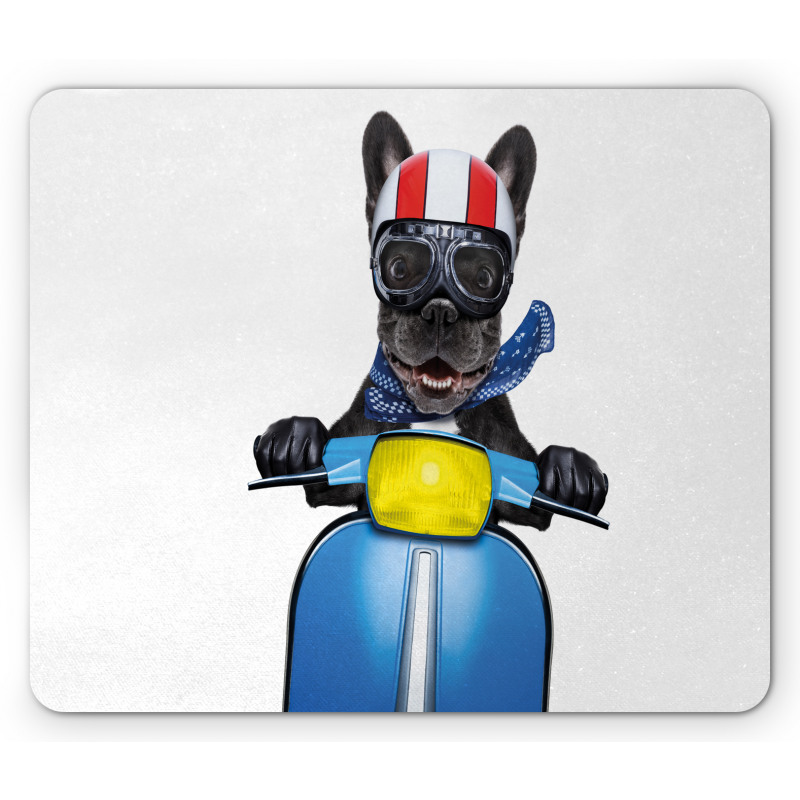 Bulldog on a Scooter Mouse Pad