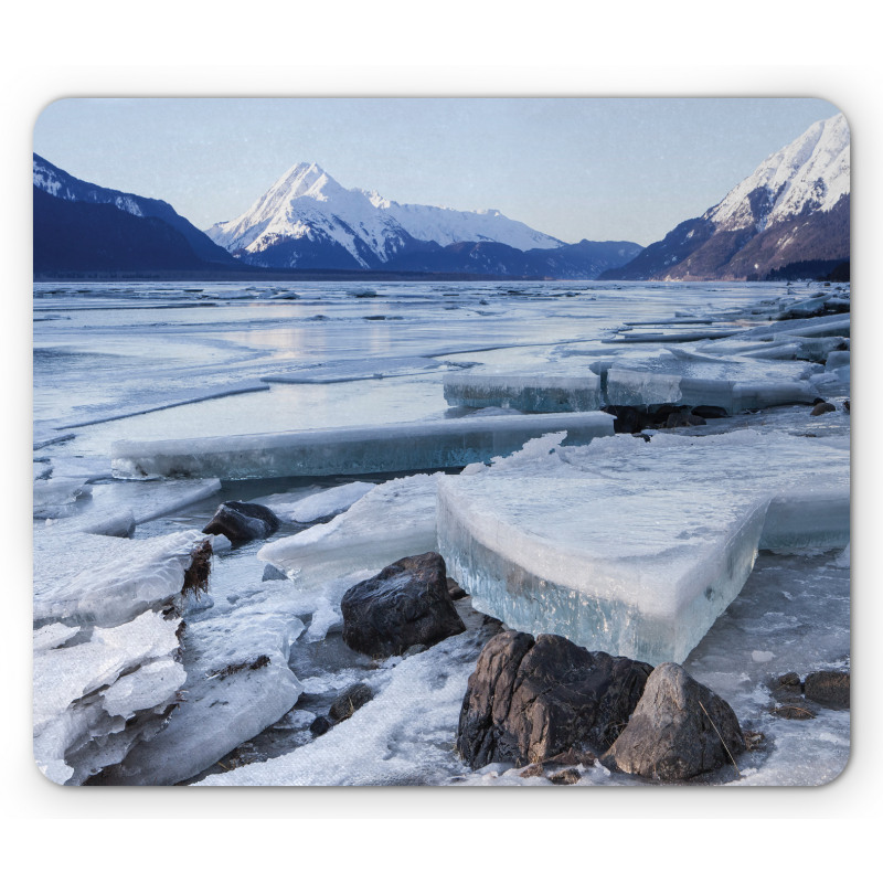 Nort American Winter Mouse Pad