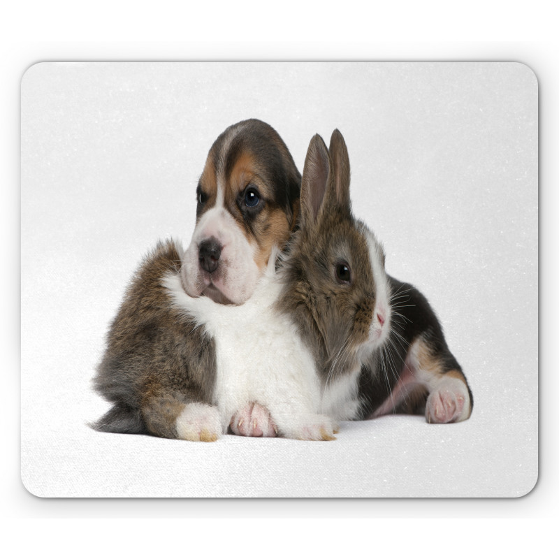 Rabbit Puppy Pet Friends Mouse Pad