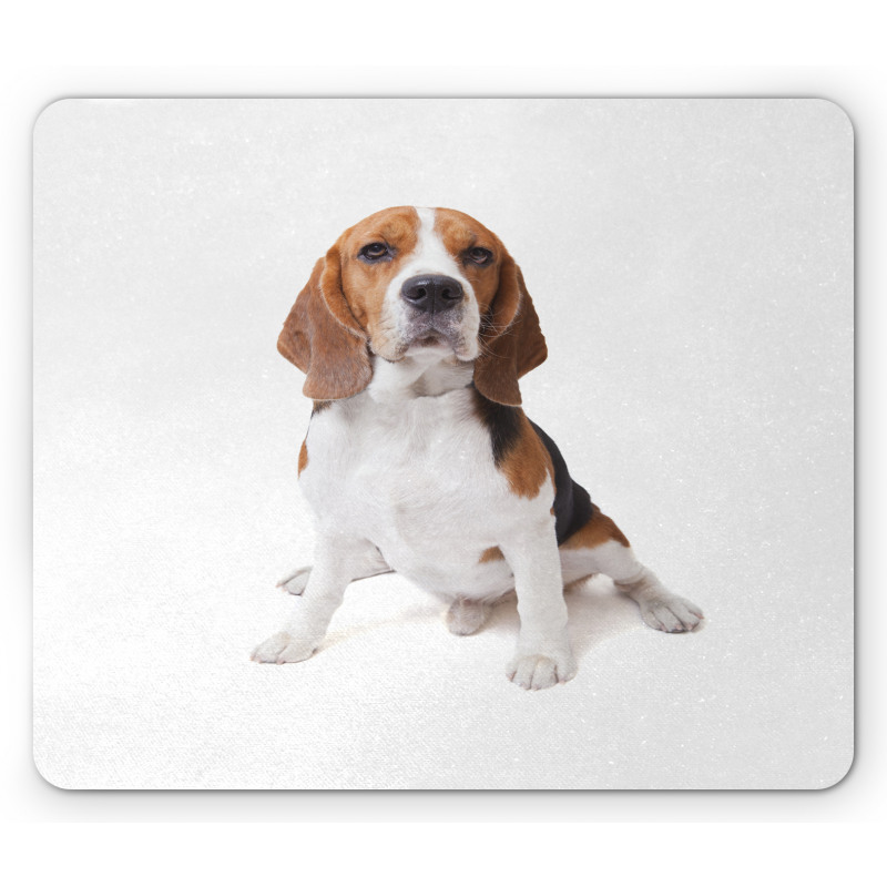 Puppy Dog Friend Posing Mouse Pad