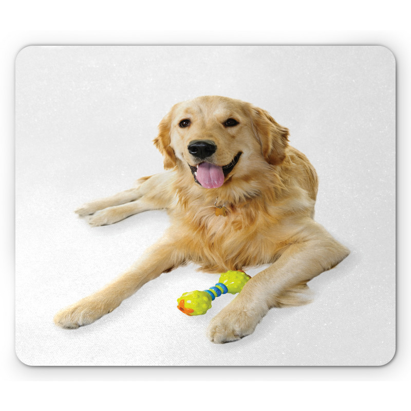 Pet Dog Toy Mouse Pad