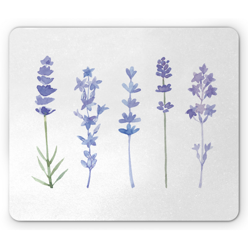 Watercolor Rural Herbs Mouse Pad