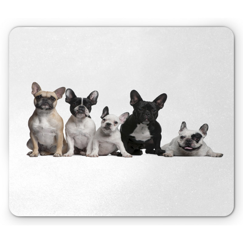 Young Doggies Photo Mouse Pad