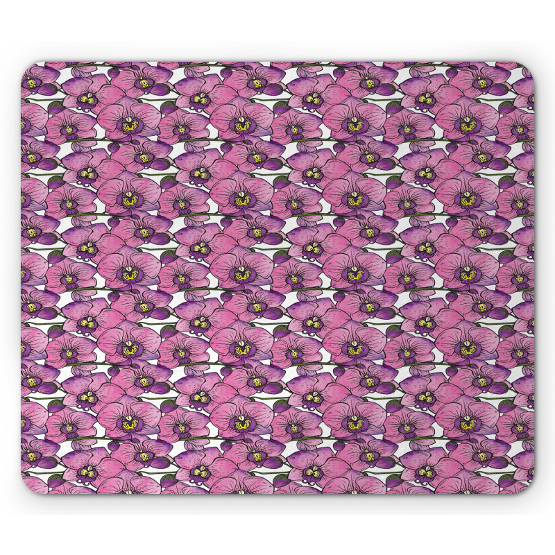 Exotic Orchid Blossoms Mouse Pad